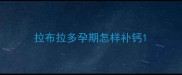 拉布拉多孕期怎样补钙