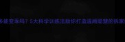 拉布拉多能变乖吗5大科学训练法助你打造温顺聪慧的拆家终结者