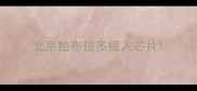 北京拉布拉多植入芯片