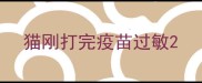 猫刚打完疫苗过敏