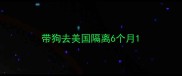带狗去美国隔离6个月