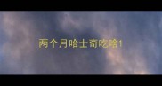两个月哈士奇吃啥
