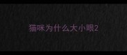 猫咪为什么大小眼