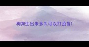 狗狗生出来多久可以打疫苗
