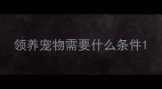 领养宠物需要什么条件