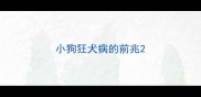 小狗狂犬病的前兆