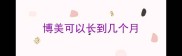 博美可以长到几个月