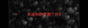 泰迪和萨摩哪个好