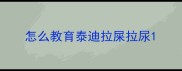 怎么教育泰迪拉屎拉尿