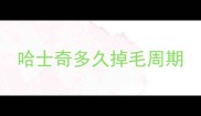 哈士奇多久掉毛周期