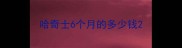 哈奇士6个月的多少钱