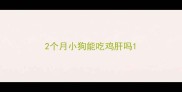 2个月小狗能吃鸡肝吗