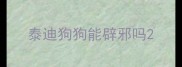 泰迪狗狗能辟邪吗