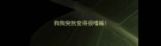 狗狗突然变得很嗜睡