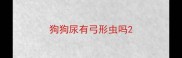 狗狗尿有弓形虫吗