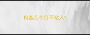 柯基几个月不粘人
