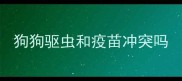 狗狗驱虫和疫苗冲突吗
