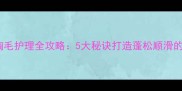 边境牧羊犬胸毛护理全攻略5大秘诀打造蓬松顺滑的毛茸茸外表