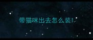 带猫咪出去怎么装