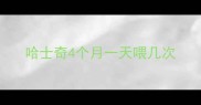 哈士奇4个月一天喂几次