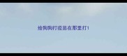 给狗狗打疫苗在那里打