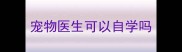 宠物医生可以自学吗