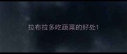 拉布拉多吃蔬菜的好处