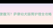 两个月萨摩耶频繁软便腹泻萨摩幼犬肠胃护理全攻略附紧急处理指南
