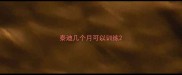 泰迪几个月可以训练