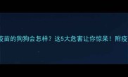 未接种疫苗的狗狗会怎样这5大危害让你惊呆附疫苗全攻略