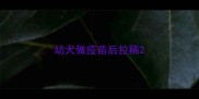 幼犬做疫苗后拉稀