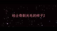 哈士奇剃光毛的样子