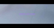 宠物怎么体外驱虫