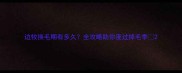 边牧换毛期有多久全攻略助你度过掉毛季