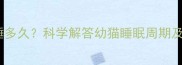 两个月大的猫咪每天睡多久科学解答幼猫睡眠周期及家长必知的养护技巧