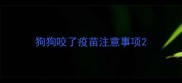 狗狗咬了疫苗注意事项