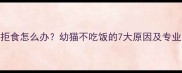 2个月小猫拒食怎么办幼猫不吃饭的7大原因及专业急救指南