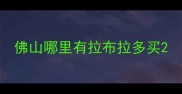 佛山哪里有拉布拉多买