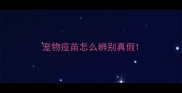 宠物疫苗怎么辨别真假