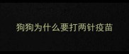 狗狗为什么要打两针疫苗