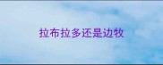 拉布拉多还是边牧