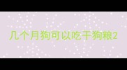 几个月狗可以吃干狗粮