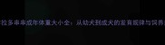 拉布拉多串串成年体重大小全从幼犬到成犬的发育规律与饲养指南