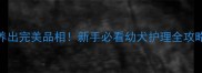 纯种金毛30天养出完美品相新手必看幼犬护理全攻略附成长记录