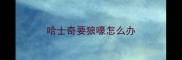 哈士奇要狼嚎怎么办
