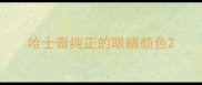 哈士奇纯正的眼睛颜色