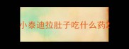 小泰迪拉肚子吃什么药