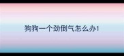 狗狗一个劲倒气怎么办