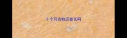 十个月边牧还能长吗
