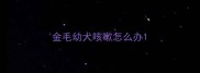 金毛幼犬咳嗽怎么办